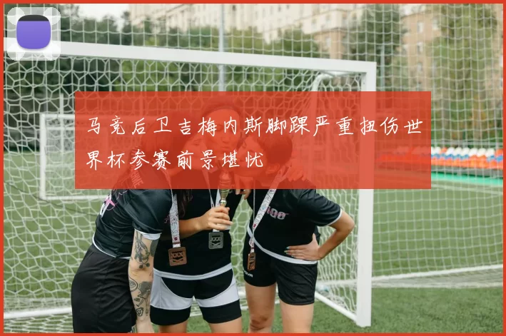 马竞后卫吉梅内斯脚踝严重扭伤世界杯参赛前景堪忧