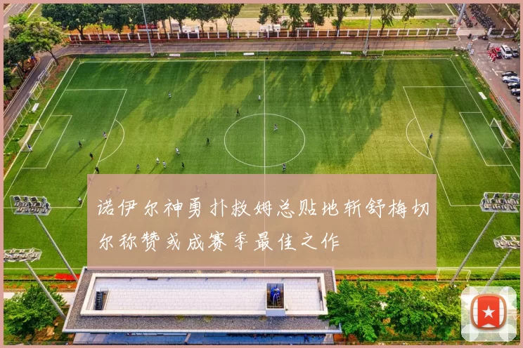 诺伊尔神勇扑救姆总贴地斩舒梅切尔称赞或成赛季最佳之作